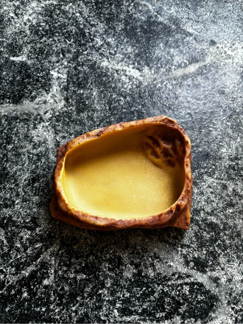 Snake lizard spider feeding bowl